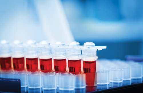 Human Tissue Samples for Research and Development - Bay Biosciences