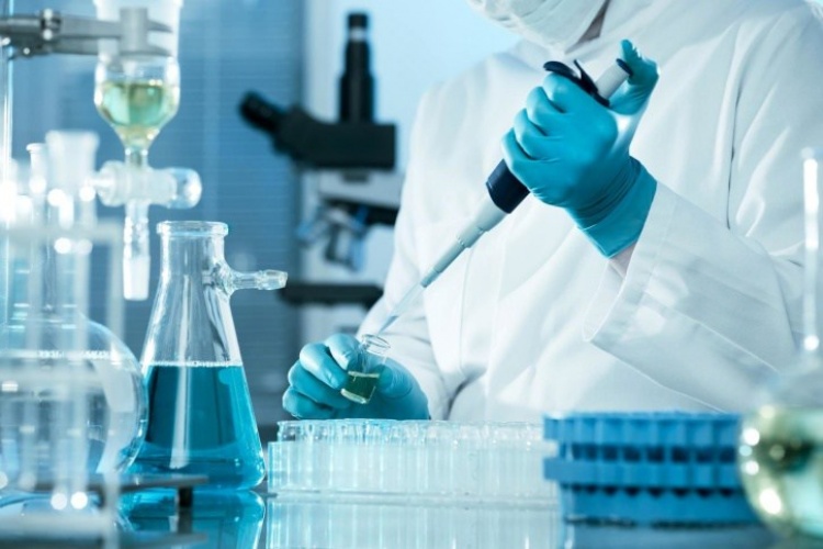 Bioscience Testing Dermatomyositis Specimens for Research and Discoveries - Bay Biosciences