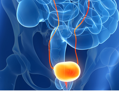 Urological Diseases Samples - Bay Biosciences, LLC.